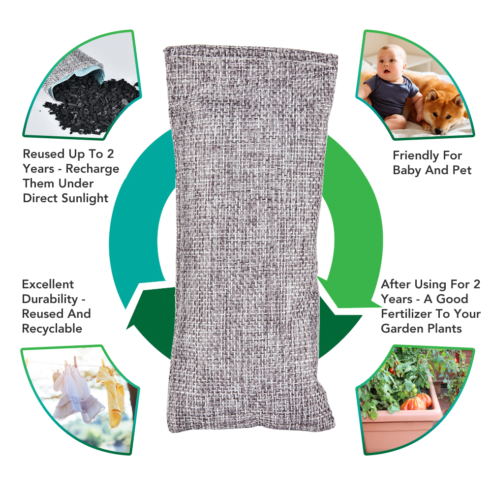 10pcs Natural Bamboo Charcoal  - Odor Eliminator Car บทวิจารณ์และราคา